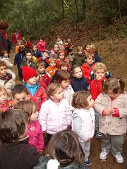 Can Plana 076